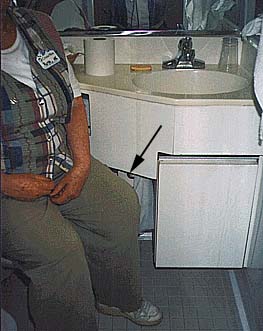 picture of cruise ship passenger on the pot (with clothes on)